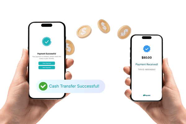 How FiChecks Supports Flexible Cash Transfer Online